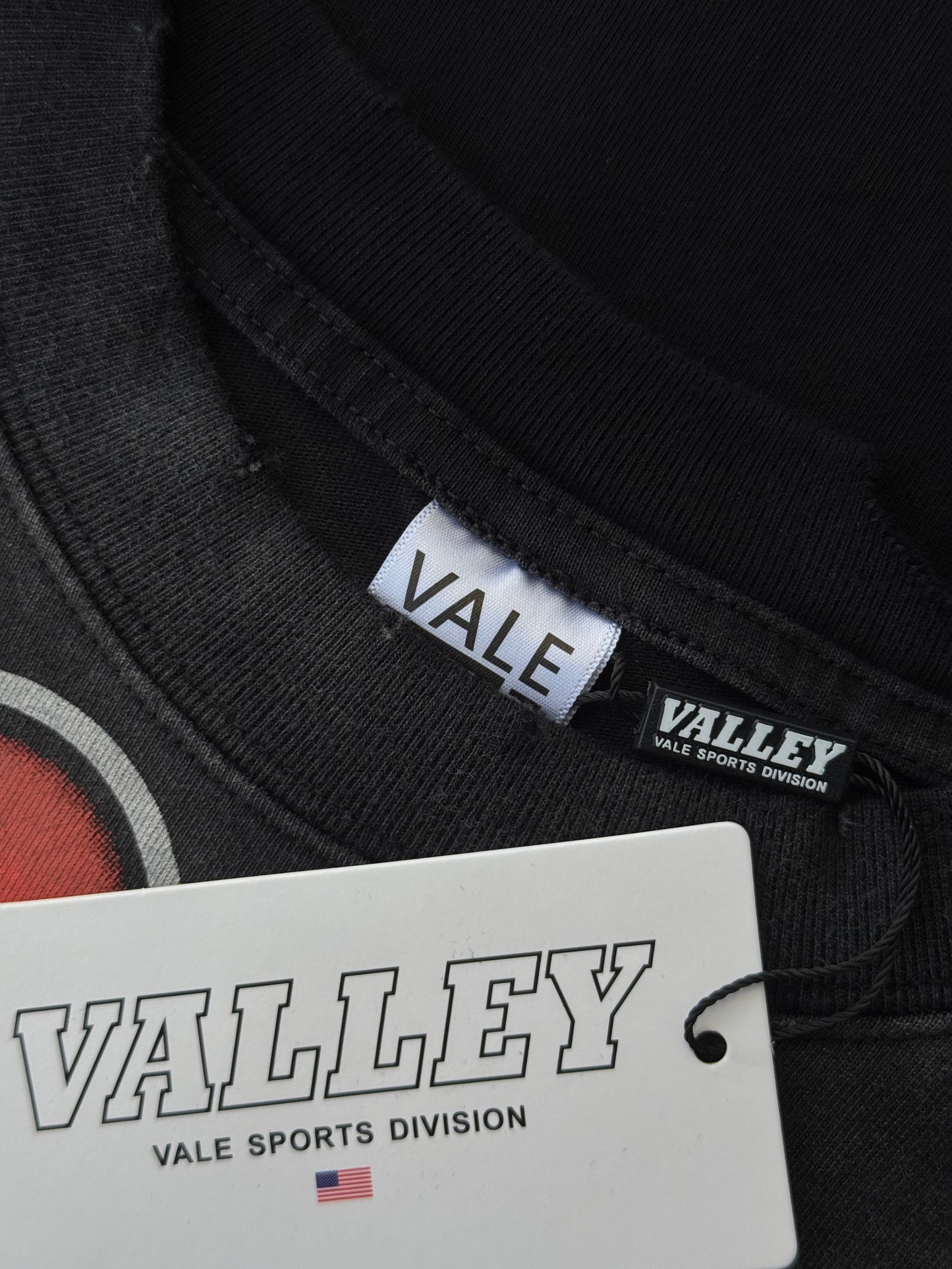 PLAYERA VALLEY DREAM