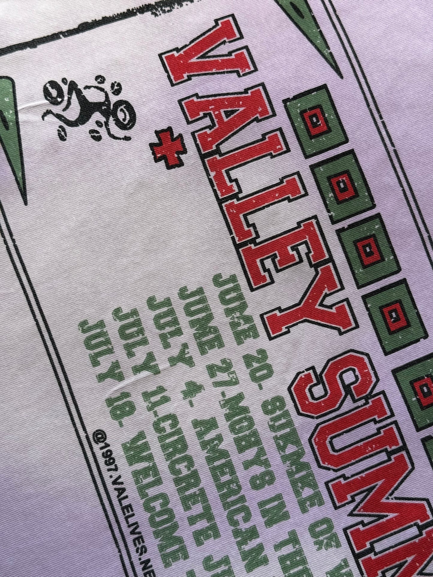 PLAYERA VALLEY DREAM