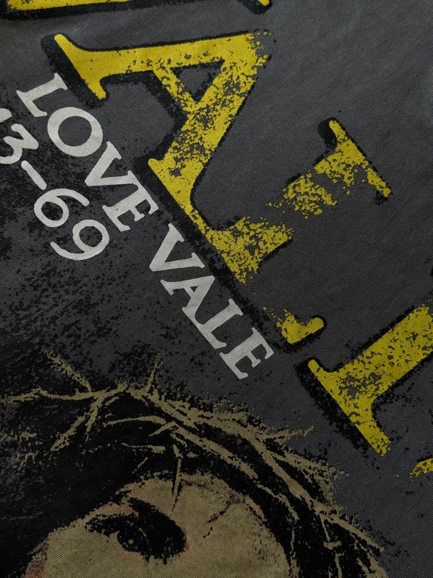 PLAYERA VALLEY DREAM