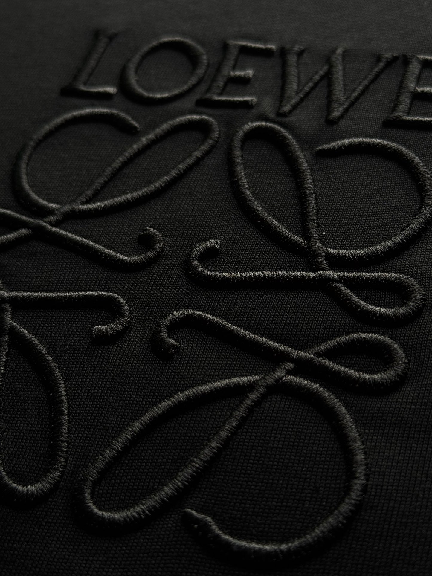 PLAYERA LOEWE